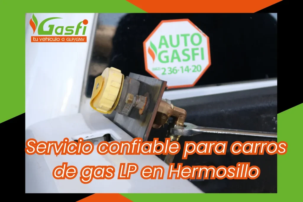 Carros de gas LP